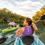mangrove en kayak martinique