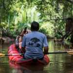 kayak mangrove martinique